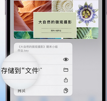 鼎城apple维修中心分享iPhone文件应用中存储和找到下载文件