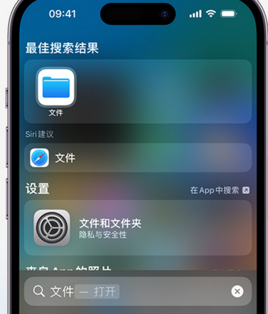 鼎城apple维修中心分享iPhone文件应用中存储和找到下载文件 