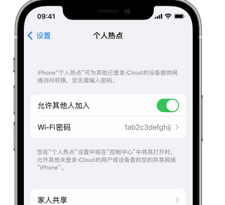 鼎城apple服务站点分享iPhone上个人热点丢失了怎么办 