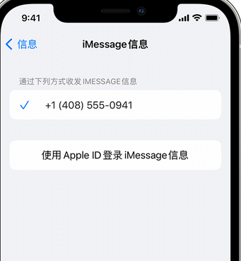 鼎城apple维修iPhone上无法正常发送iMessage信息 