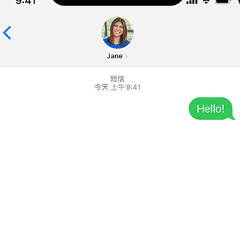 鼎城apple维修iPhone上无法正常发送iMessage信息