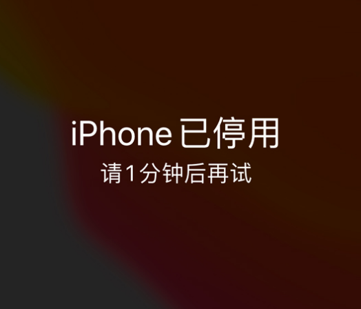 鼎城苹果手机维修分享:iPhone 显示“不可用”或“已停用”怎么办？还能保留数据吗？ 