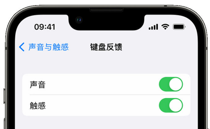 鼎城苹果手机维修分享iPhone 14触感键盘使用方法 