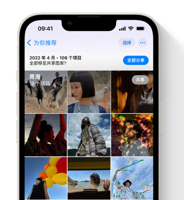 鼎城苹果维修网点分享在 iPhone 上使用共享图库 