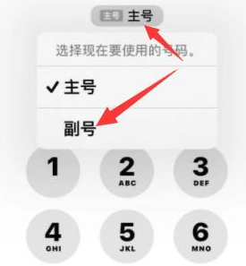 鼎城苹果14维修店分享iPhone 14 Pro Max使用副卡打电话的方法 