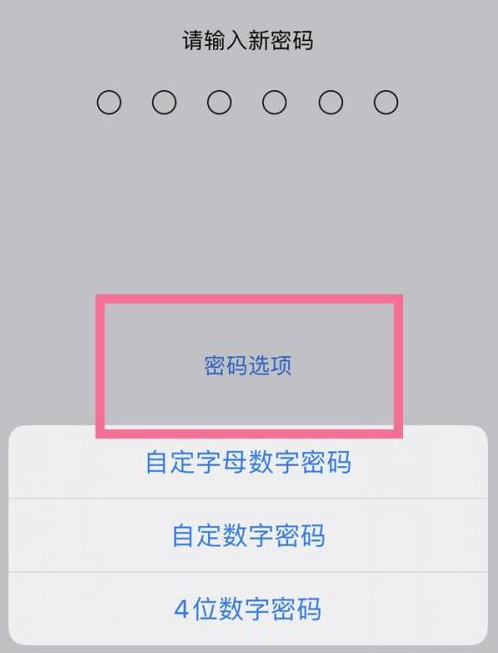 鼎城苹果14维修分享iPhone 14plus设置密码的方法 