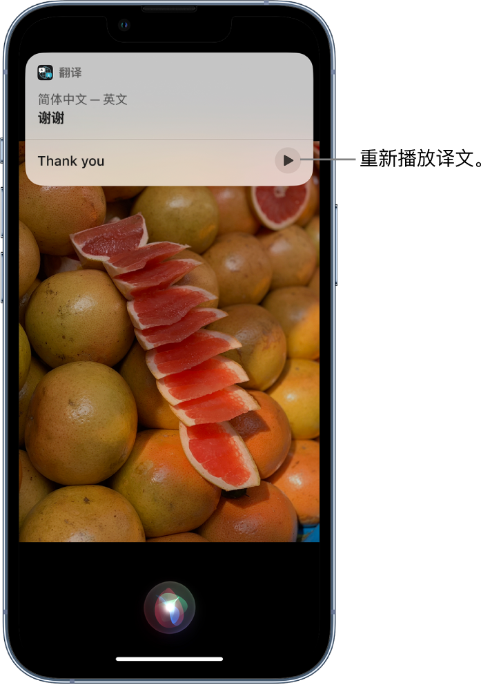 鼎城苹果14维修分享 iPhone 14 机型中使用 Siri：了解 Siri 能帮你做什么 