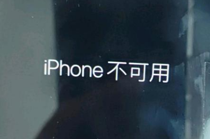 鼎城苹果服务网点分享锁屏界面显示“iPhone 不可用”如何解决 