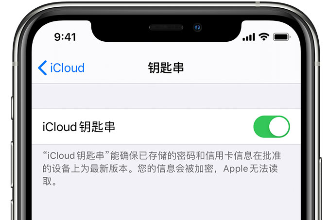 鼎城苹果手机维修分享在 iPhone 上开启 iCloud 钥匙串之后会储存哪些信息 