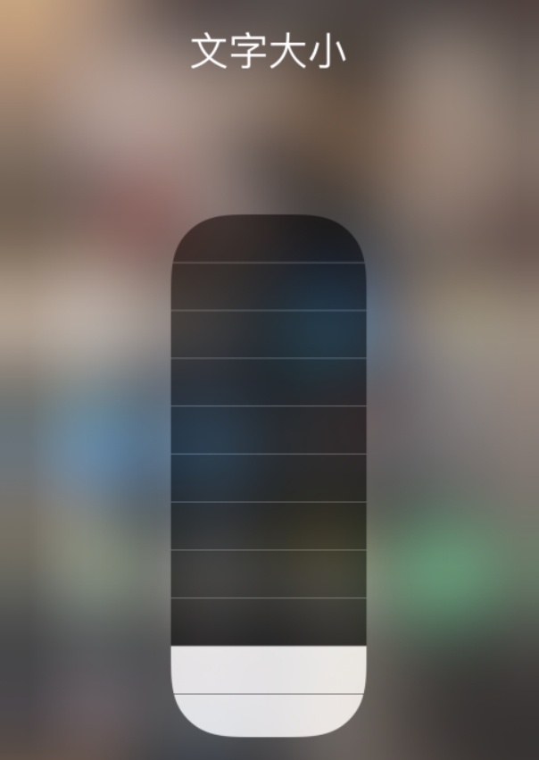 鼎城苹果手机维修分享小技巧：在 iPhone 控制中心快速调节字体大小 