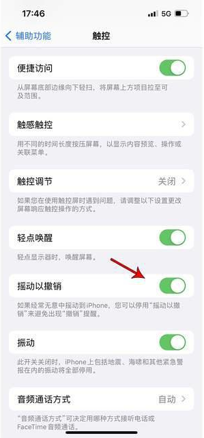 鼎城苹果手机维修分享iPhone手机如何设置摇一摇删除文字 