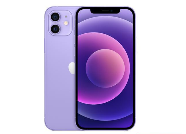 鼎城苹果手机维修分享现阶段要不要入手紫色版iPhone12 