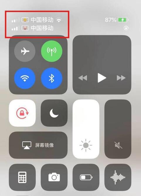 鼎城苹果手机维修分享为 iPhone 12 双卡设置标签 