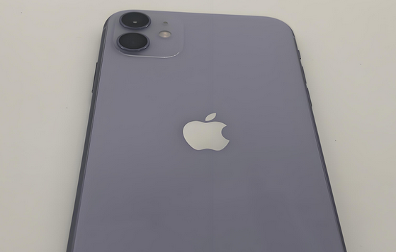 鼎城苹果11系统维修分享iPhone11手机系统崩溃无法开机如何解决 