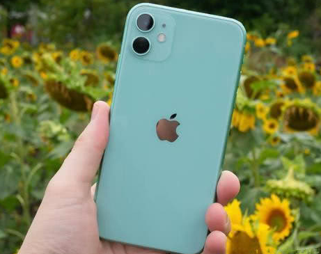 鼎城苹果维修点分享iPhone 11锁屏密码认知与使用科普 