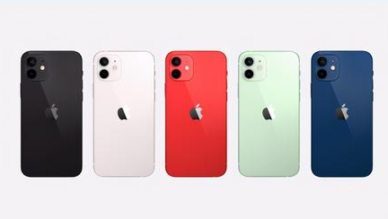 鼎城苹果维修点分享iPhone 12锁屏密码系统机制科普 